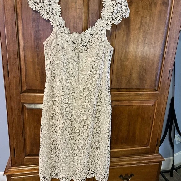 Adam Beige Lace Midi Dress - Picture 3 of 4